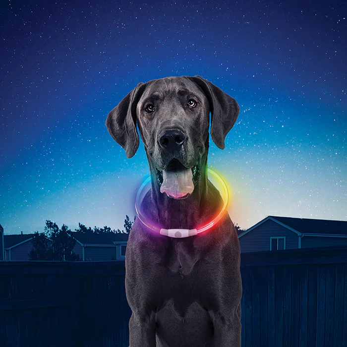 Nite Ize - NiteHowl Rechargeable - Disc-O Select - Image 5