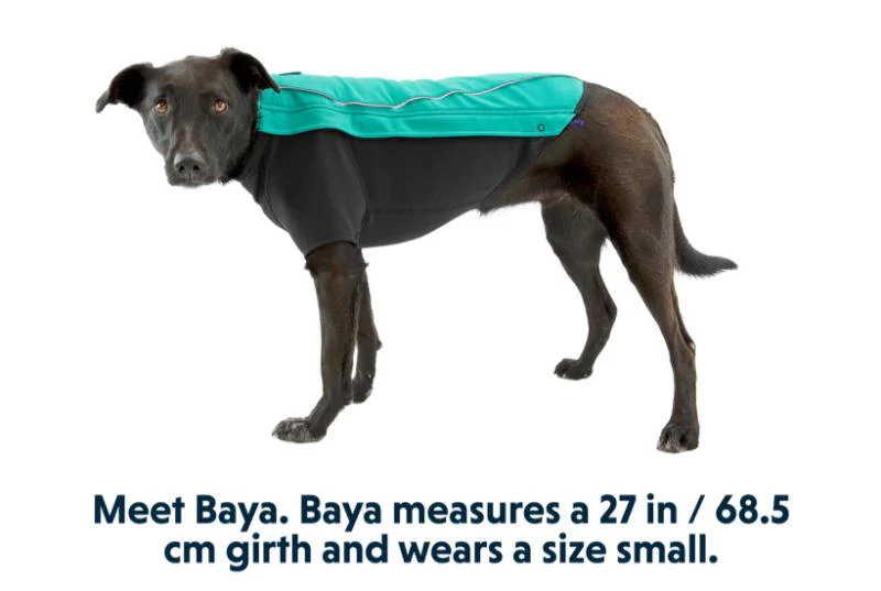 Ruffwear - Cloud Chaser Jacket - Aurora Teal - Image 7